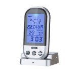 Digital insertion cooking / kitchen thermometer and for barbeque, gray color, model TG01